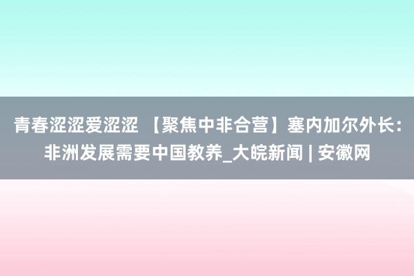 青春涩涩爱涩涩 【聚焦中非合营】塞内加尔外长：非洲发展需要中国教养_大皖新闻 | 安徽网