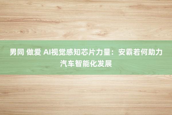 男同 做爱 AI视觉感知芯片力量：安霸若何助力汽车智能化发展