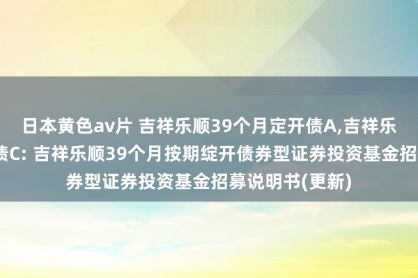 日本黄色av片 吉祥乐顺39个月定开债A,吉祥乐顺39个月定开债C: 吉祥乐顺39个月按期绽开债券型证券投资基金招募说明书(更新)