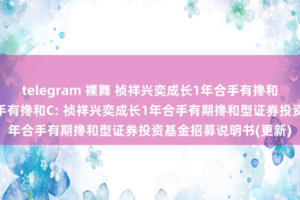 telegram 裸舞 祯祥兴奕成长1年合手有搀和A,祯祥兴奕成长1年合手有搀和C: 祯祥兴奕成长1年合手有期搀和型证券投资基金招募说明书(更新)