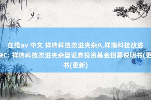 在线av 中文 祥瑞科技改进夹杂A,祥瑞科技改进夹杂C: 祥瑞科技改进夹杂型证券投资基金招募说明书(更新)