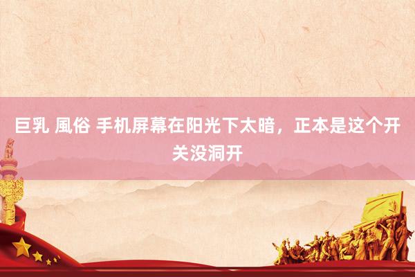 巨乳 風俗 手机屏幕在阳光下太暗，正本是这个开关没洞开