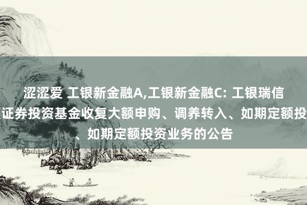 涩涩爱 工银新金融A,工银新金融C: 工银瑞信新金融股票型证券投资基金收复大额申购、调养转入、如期定额投资业务的公告