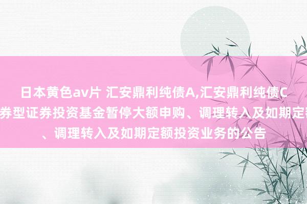 日本黄色av片 汇安鼎利纯债A,汇安鼎利纯债C: 汇安鼎利纯债债券型证券投资基金暂停大额申购、调理转入及如期定额投资业务的公告