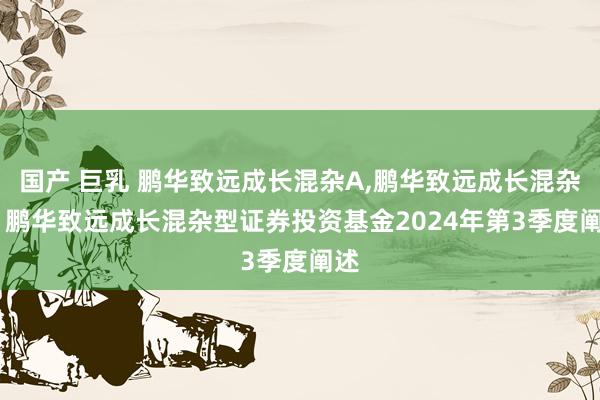 国产 巨乳 鹏华致远成长混杂A,鹏华致远成长混杂C: 鹏华致远成长混杂型证券投资基金2024年第3季度阐述