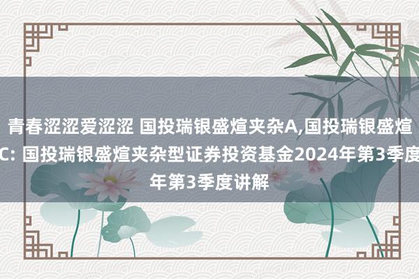 青春涩涩爱涩涩 国投瑞银盛煊夹杂A,国投瑞银盛煊夹杂C: 国投瑞银盛煊夹杂型证券投资基金2024年第3季度讲解