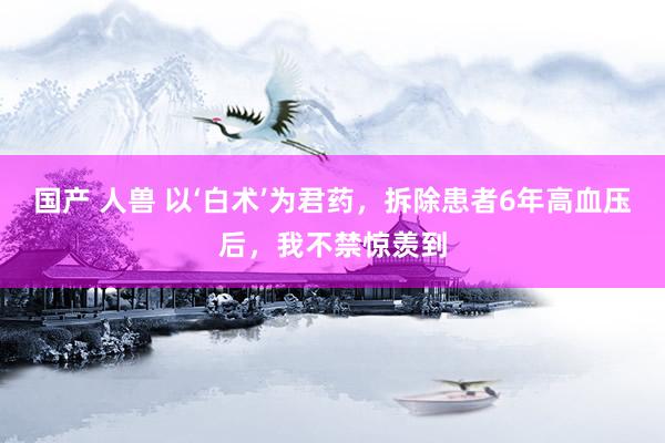 国产 人兽 以‘白术’为君药,拆除患者6年高血压后,我不禁惊羡到