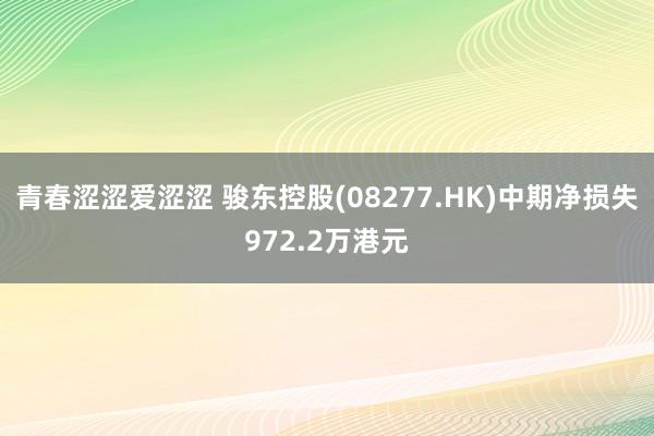青春涩涩爱涩涩 骏东控股(08277.HK)中期净损失972.2万港元
