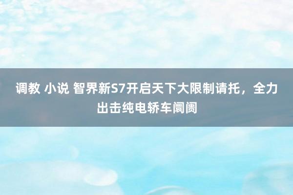 调教 小说 智界新S7开启天下大限制请托，全力出击纯电轿车阛阓