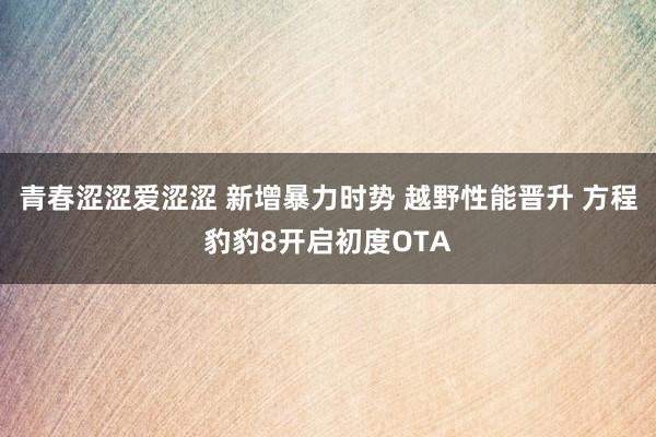 青春涩涩爱涩涩 新增暴力时势 越野性能晋升 方程豹豹8开启初度OTA