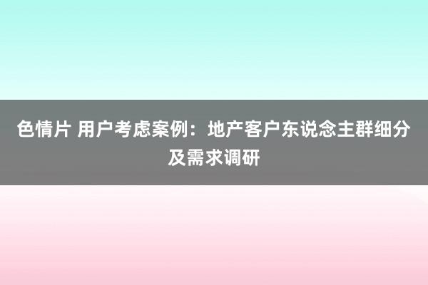 色情片 用户考虑案例：地产客户东说念主群细分及需求调研