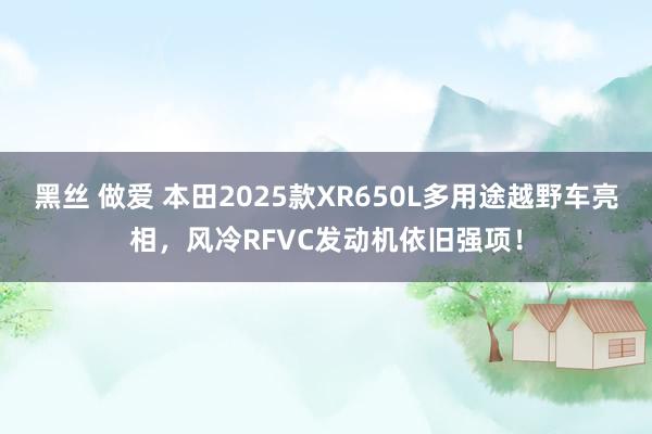 黑丝 做爱 本田2025款XR650L多用途越野车亮相，风冷RFVC发动机依旧强项！