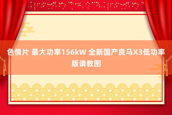 色情片 最大功率156kW 全新国产良马X3低功率版请教图