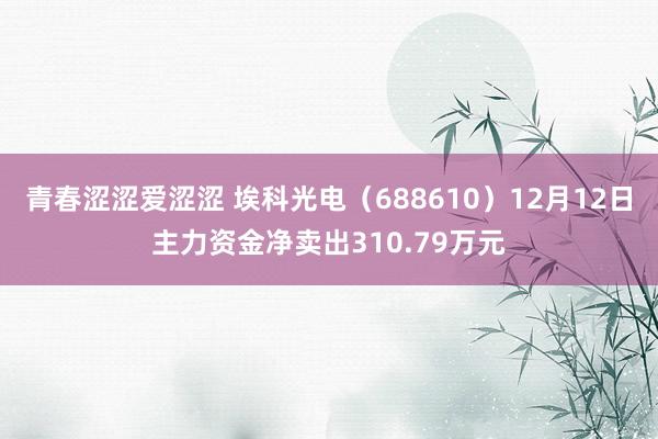 青春涩涩爱涩涩 埃科光电（688610）12月12日主力资金净卖出310.79万元