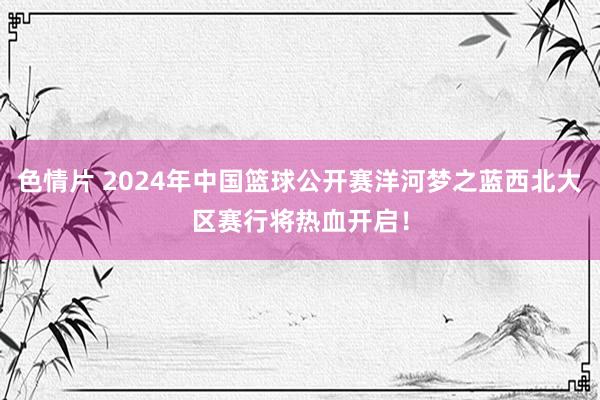 色情片 2024年中国篮球公开赛洋河梦之蓝西北大区赛行将热血开启！