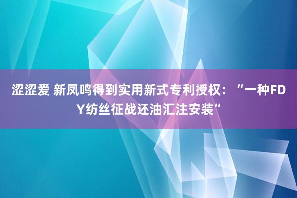 涩涩爱 新凤鸣得到实用新式专利授权：“一种FDY纺丝征战还油汇注安装”