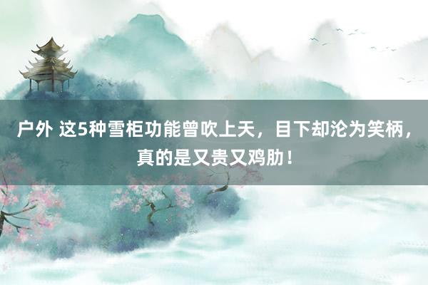 户外 这5种雪柜功能曾吹上天，目下却沦为笑柄，真的是又贵又鸡肋！
