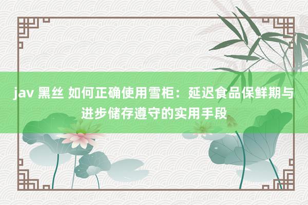 jav 黑丝 如何正确使用雪柜：延迟食品保鲜期与进步储存遵守的实用手段
