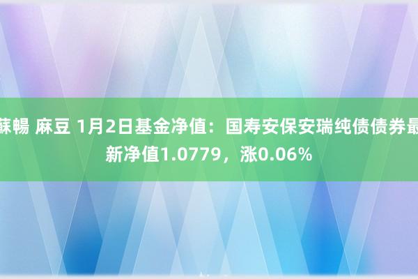 蘇暢 麻豆 1月2日基金净值：国寿安保安瑞纯债债券最新净值1.0779，涨0.06%