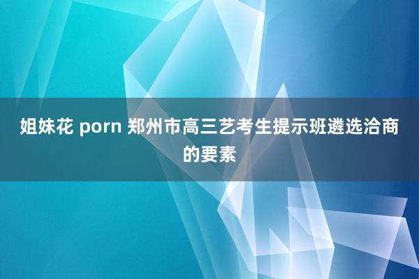 姐妹花 porn 郑州市高三艺考生提示班遴选洽商的要素