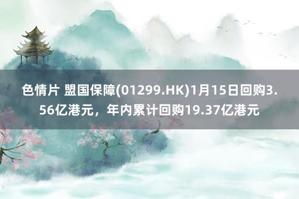 色情片 盟国保障(01299.HK)1月15日回购3.56亿港元，年内累计回购19.37亿港元