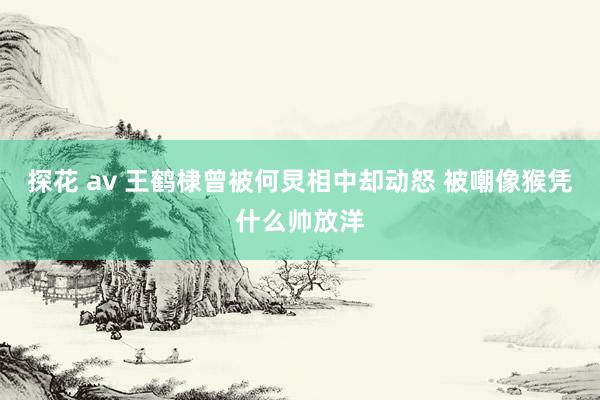 探花 av 王鹤棣曾被何炅相中却动怒 被嘲像猴凭什么帅放洋