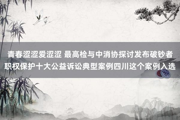 青春涩涩爱涩涩 最高检与中消协探讨发布破钞者职权保护十大公益诉讼典型案例四川这个案例入选