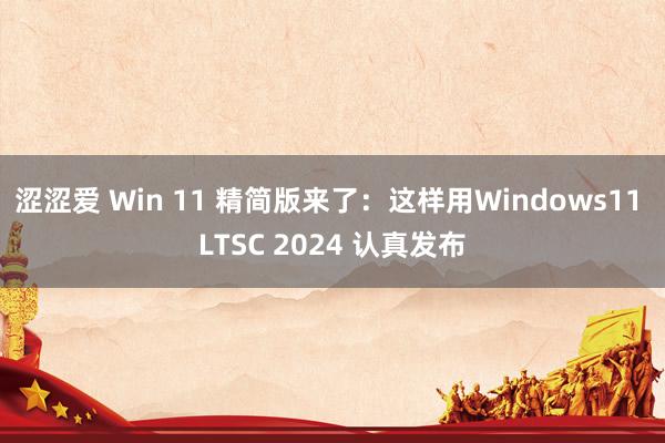 涩涩爱 Win 11 精简版来了：这样用Windows11 LTSC 2024 认真发布