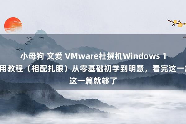 小母狗 文爱 VMware杜撰机Windows 10装配使用教程（相配扎眼）从零基础初学到明慧，看完这一篇就够了