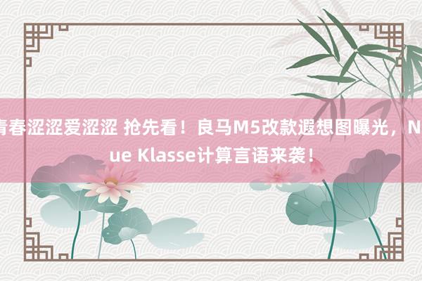 青春涩涩爱涩涩 抢先看！良马M5改款遐想图曝光，Neue Klasse计算言语来袭！