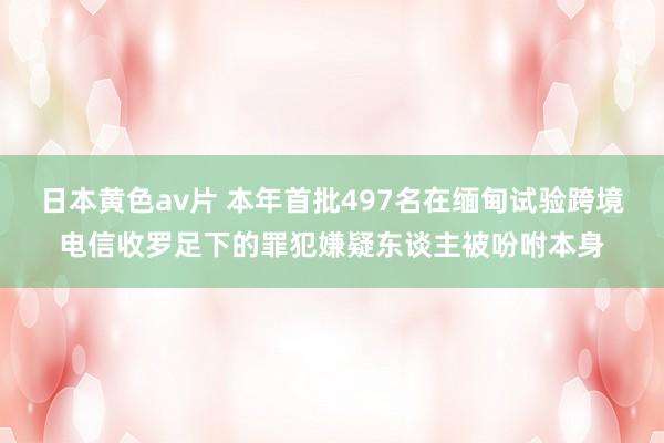 日本黄色av片 本年首批497名在缅甸试验跨境电信收罗足下的罪犯嫌疑东谈主被吩咐本身