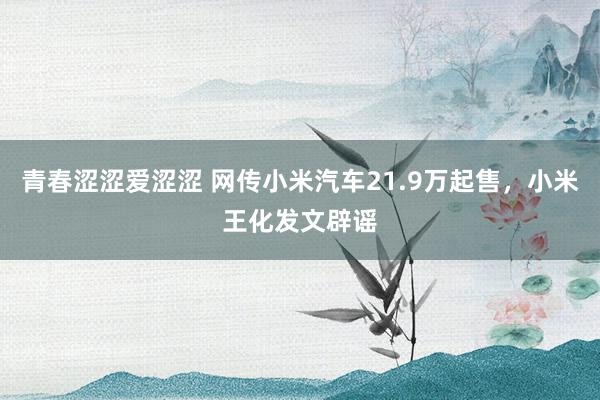 青春涩涩爱涩涩 网传小米汽车21.9万起售，小米王化发文辟谣