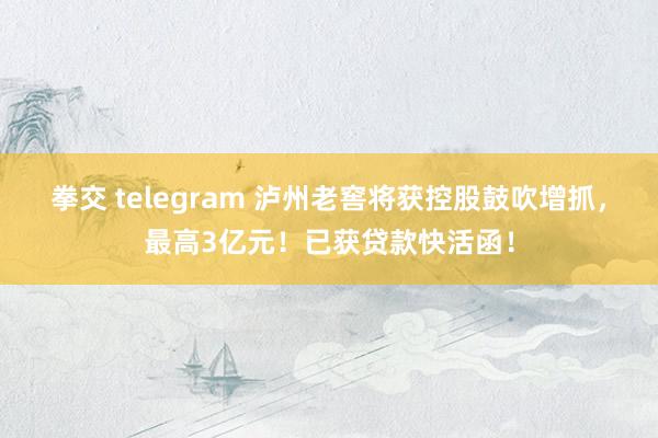 拳交 telegram 泸州老窖将获控股鼓吹增抓，最高3亿元！已获贷款快活函！