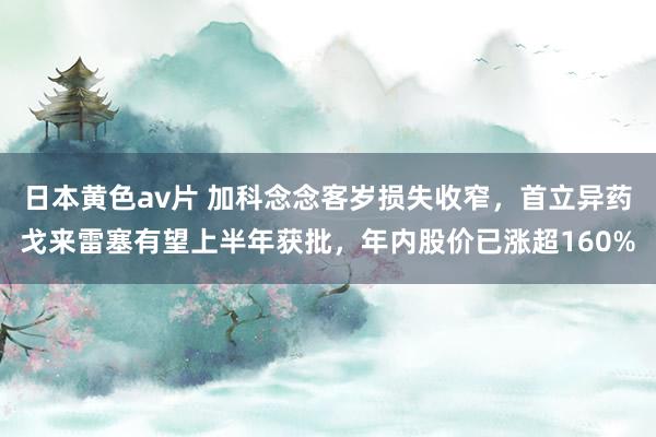 日本黄色av片 加科念念客岁损失收窄，首立异药戈来雷塞有望上半年获批，年内股价已涨超160%