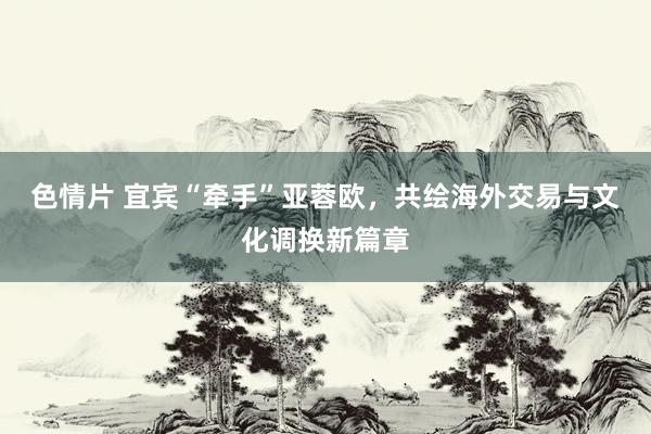 色情片 宜宾“牵手”亚蓉欧，共绘海外交易与文化调换新篇章