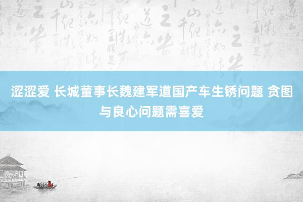 涩涩爱 长城董事长魏建军道国产车生锈问题 贪图与良心问题需喜爱