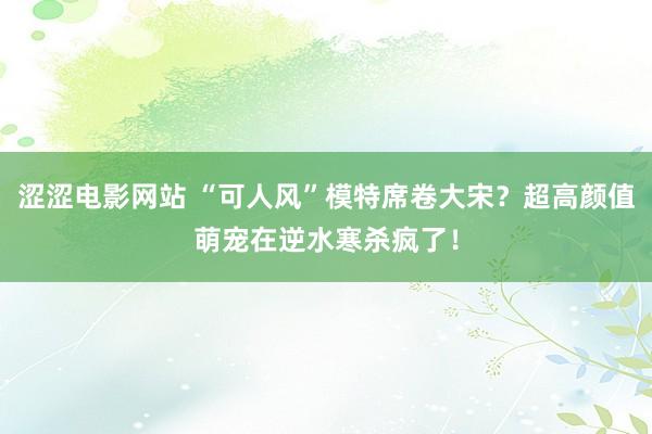 涩涩电影网站 “可人风”模特席卷大宋？超高颜值萌宠在逆水寒杀疯了！