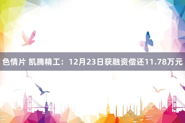 色情片 凯腾精工：12月23日获融资偿还11.78万元