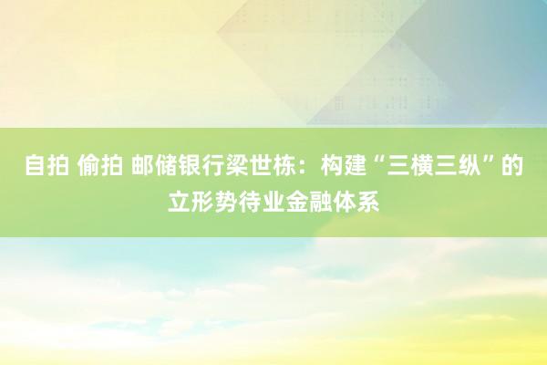 自拍 偷拍 邮储银行梁世栋：构建“三横三纵”的立形势待业金融体系