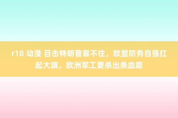 r18 动漫 目击特朗普靠不住，欧盟防务自强扛起大旗，欧洲军工要杀出条血路