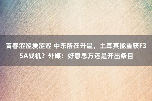 青春涩涩爱涩涩 中东所在升温，土耳其能重获F35A战机？外媒：好意思方还是开出条目