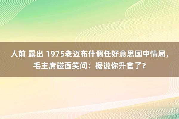 人前 露出 1975老迈布什调任好意思国中情局，毛主席碰面笑问：据说你升官了？