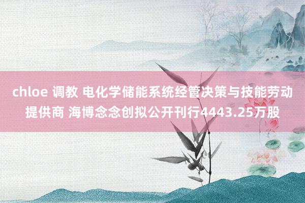 chloe 调教 电化学储能系统经管决策与技能劳动提供商 海博念念创拟公开刊行4443.25万股