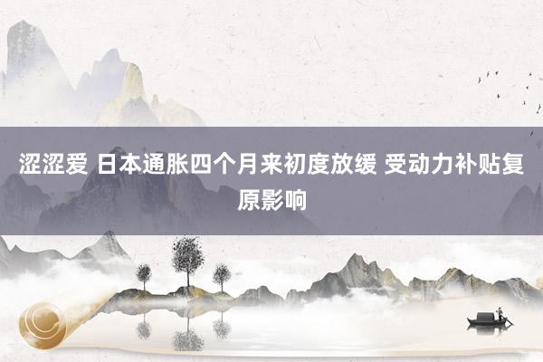 涩涩爱 日本通胀四个月来初度放缓 受动力补贴复原影响