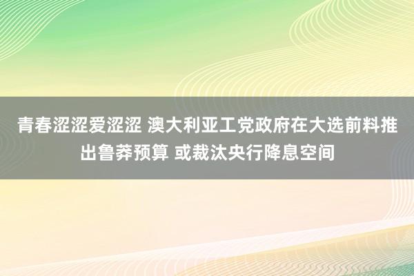 青春涩涩爱涩涩 澳大利亚工党政府在大选前料推出鲁莽预算 或裁汰央行降息空间