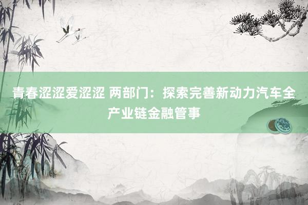青春涩涩爱涩涩 两部门：探索完善新动力汽车全产业链金融管事