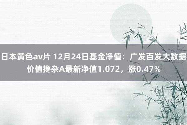 日本黄色av片 12月24日基金净值：广发百发大数据价值搀杂A最新净值1.072，涨0.47%