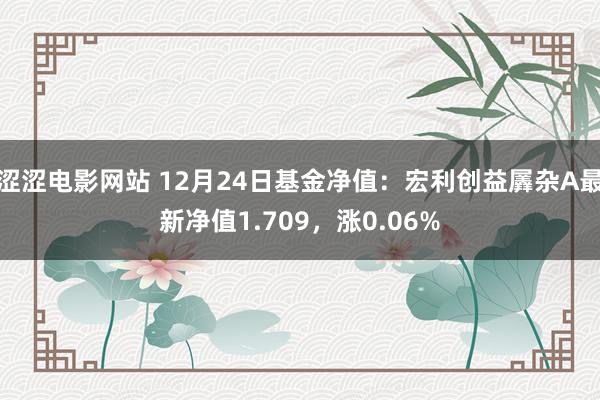 涩涩电影网站 12月24日基金净值：宏利创益羼杂A最新净值1.709，涨0.06%