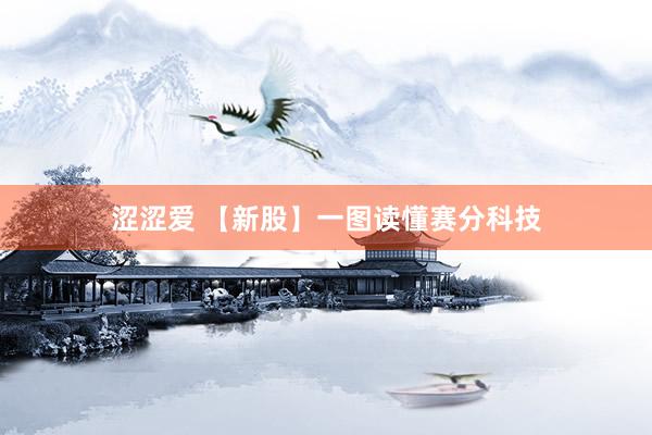 涩涩爱 【新股】一图读懂赛分科技