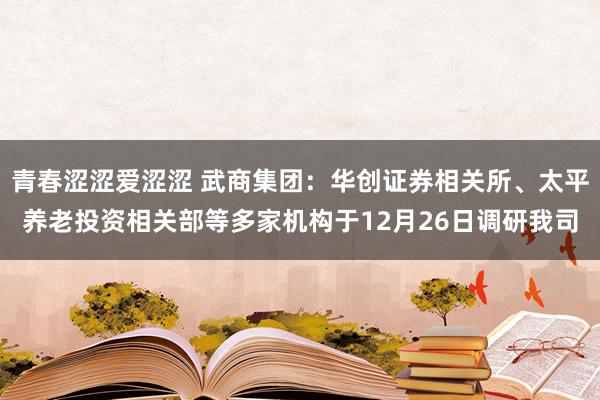 青春涩涩爱涩涩 武商集团：华创证券相关所、太平养老投资相关部等多家机构于12月26日调研我司